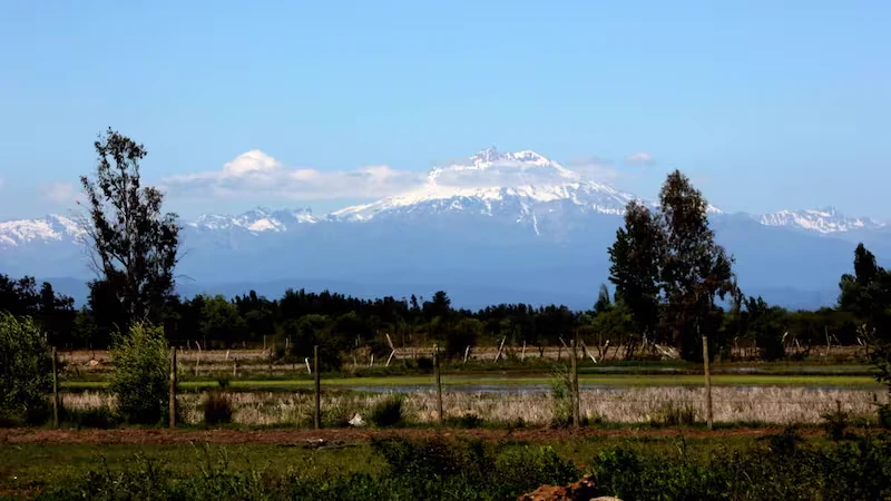 Bodega Longaví